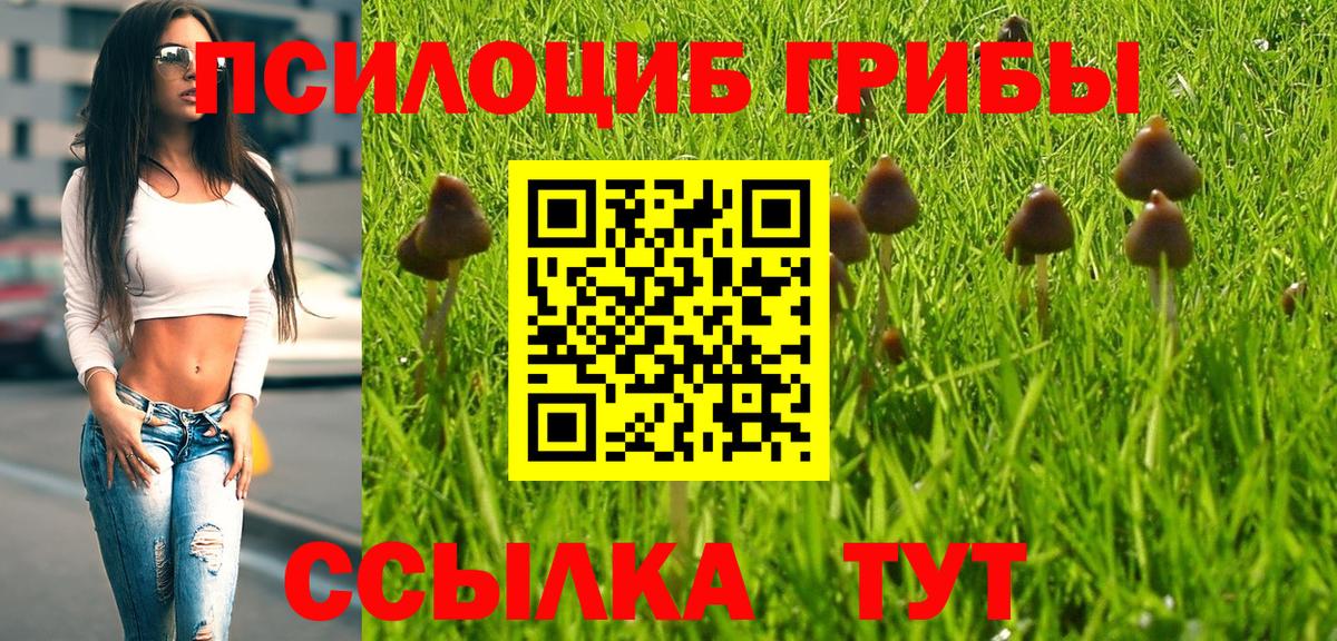 Биробиджан  Псилоцибиновые грибы GOLDEN TEACHER  Вход с VPN 