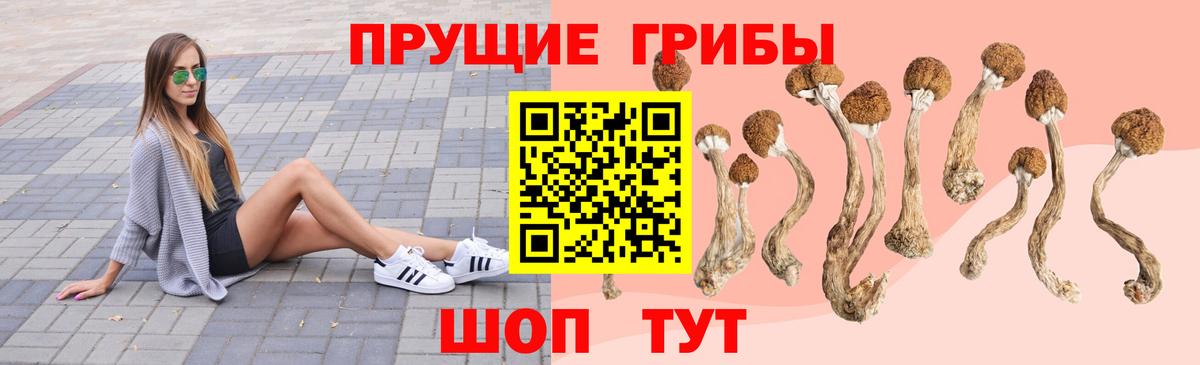 Псилоцибиновые грибы ЛСД Биробиджан